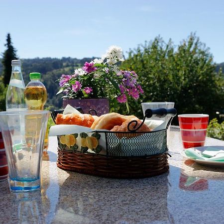 Ferienappartement Donautal Obernzell Экстерьер фото