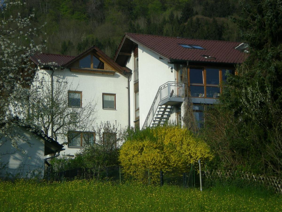 Ferienappartement Donautal Obernzell Экстерьер фото