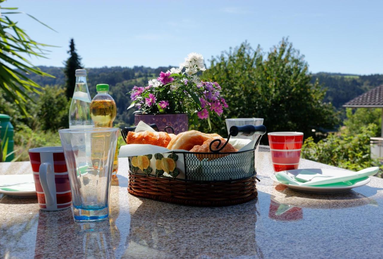 Ferienappartement Donautal Obernzell Экстерьер фото