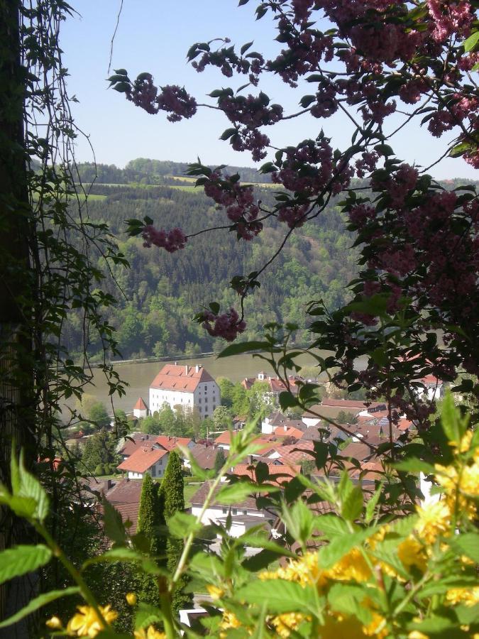 Ferienappartement Donautal Obernzell Экстерьер фото